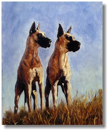 great_danes.jpg (27730 bytes)